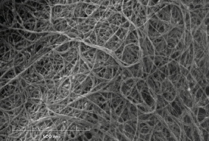 SEM micrograph of TUBALL single wall carbon nanotubes