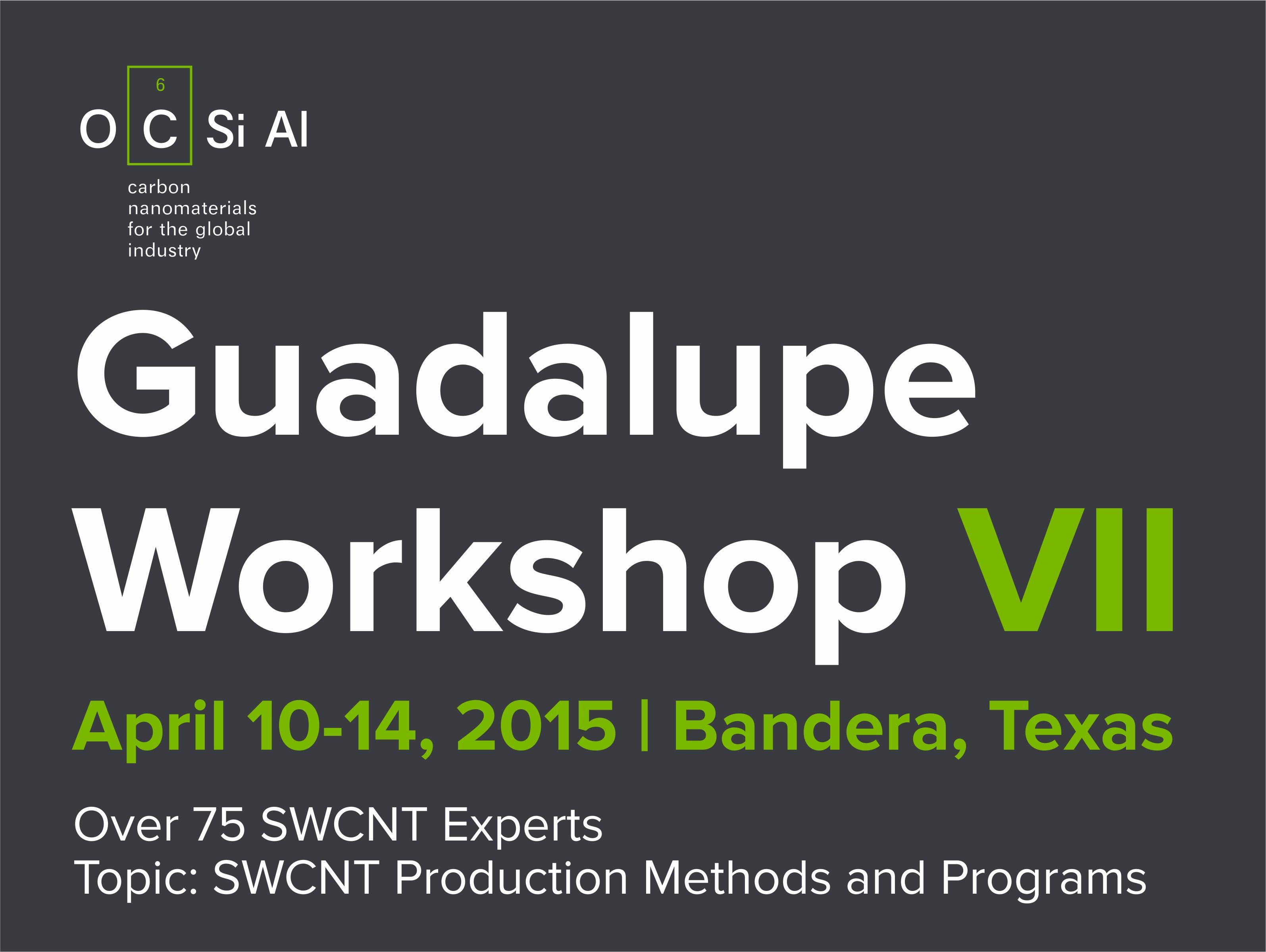 OCSiAl sponsored Rice University Guadalupe Workshop VII